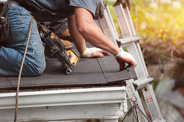 Best Gutter Installation and Roofing  in Laguna Park, TX