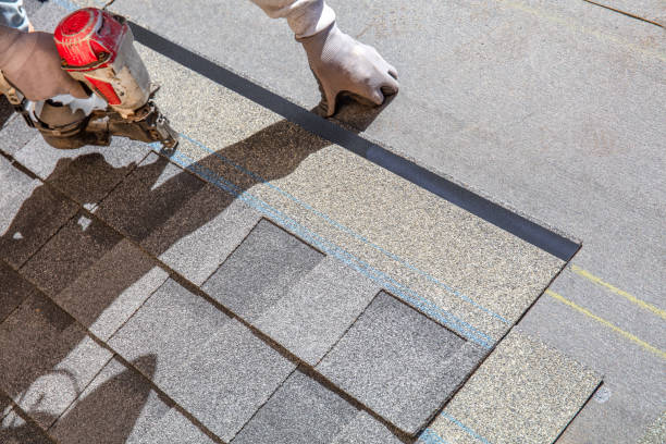 Best Tile Roofing Contractor  in Laguna Park, TX