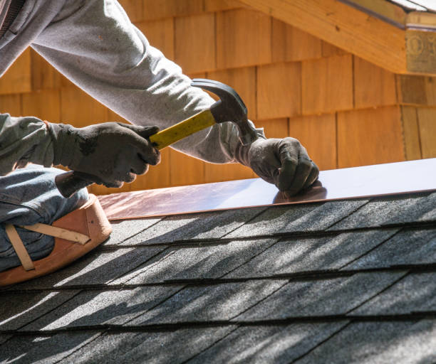 Best Roof Repair Services  in Laguna Park, TX